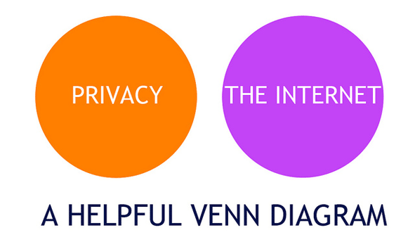 InternetPrivacy_591.gif