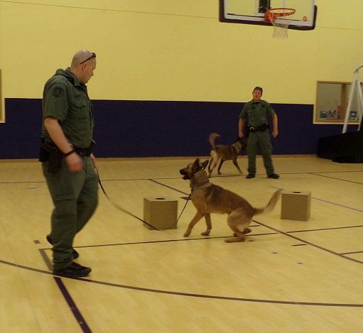 2 Police K-9 and 2 officers in gymnasium